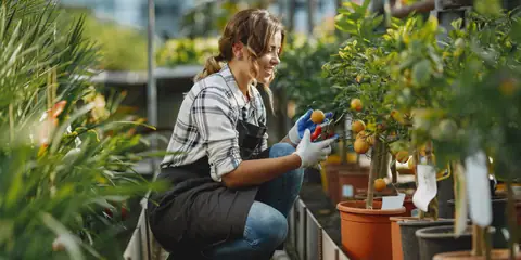 How Gardening Supports Healing, Wellness, and Emotional Balance